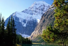 亿万28：中国体育报：体育界坚决向“饭圈”乱象说不中国体育报.